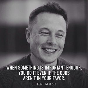 Elon Musk - a quote fueling our work ethos