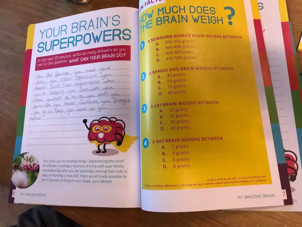 Example of workbook my amazing brain magazine in the classroom